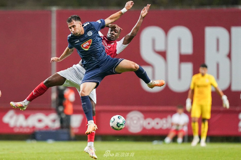 的阿沙芬堡 的阿沙芬堡